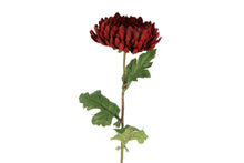 Kunstig chrysanthemum med stor bordeaux blomst, 76 cm, fra Homae