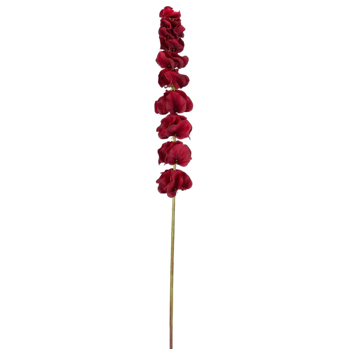 Kunstig molucella i bordeaux, 78 cm, fra Homae