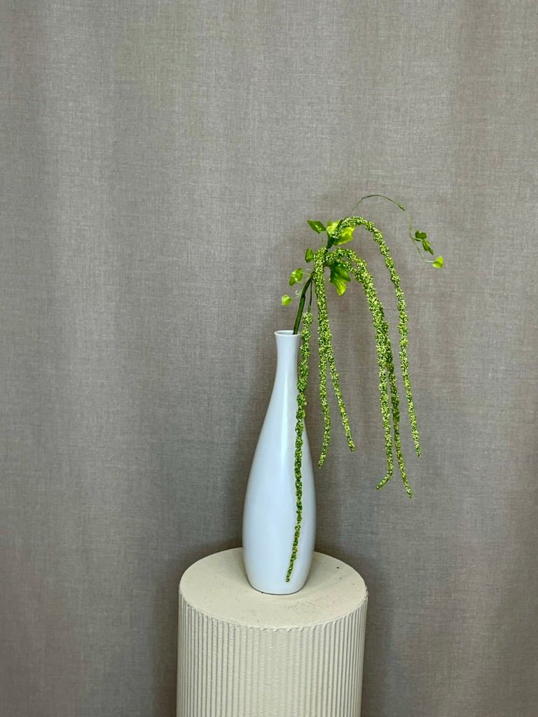 Nærbillede af amaranthus' lange, hængende grønne aks