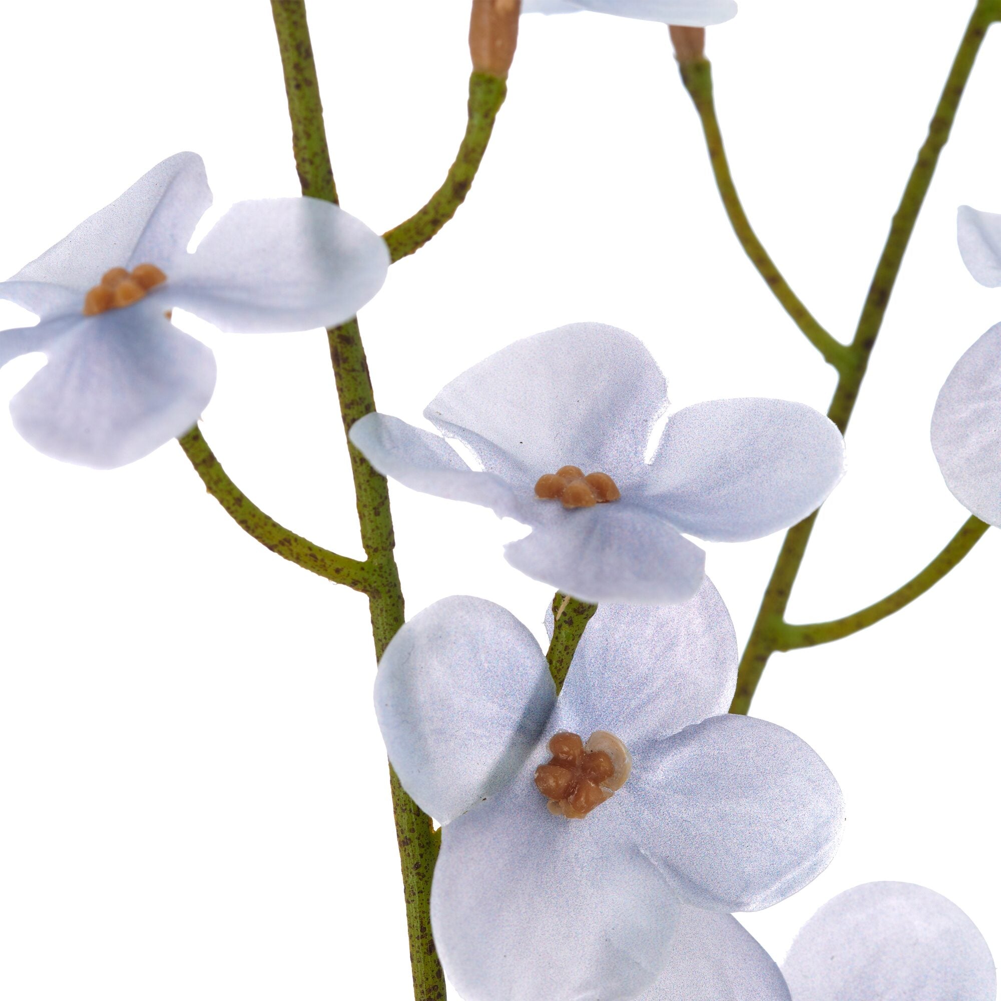 Nærbillede af kunstig cornus gren i lys blå med små blomster