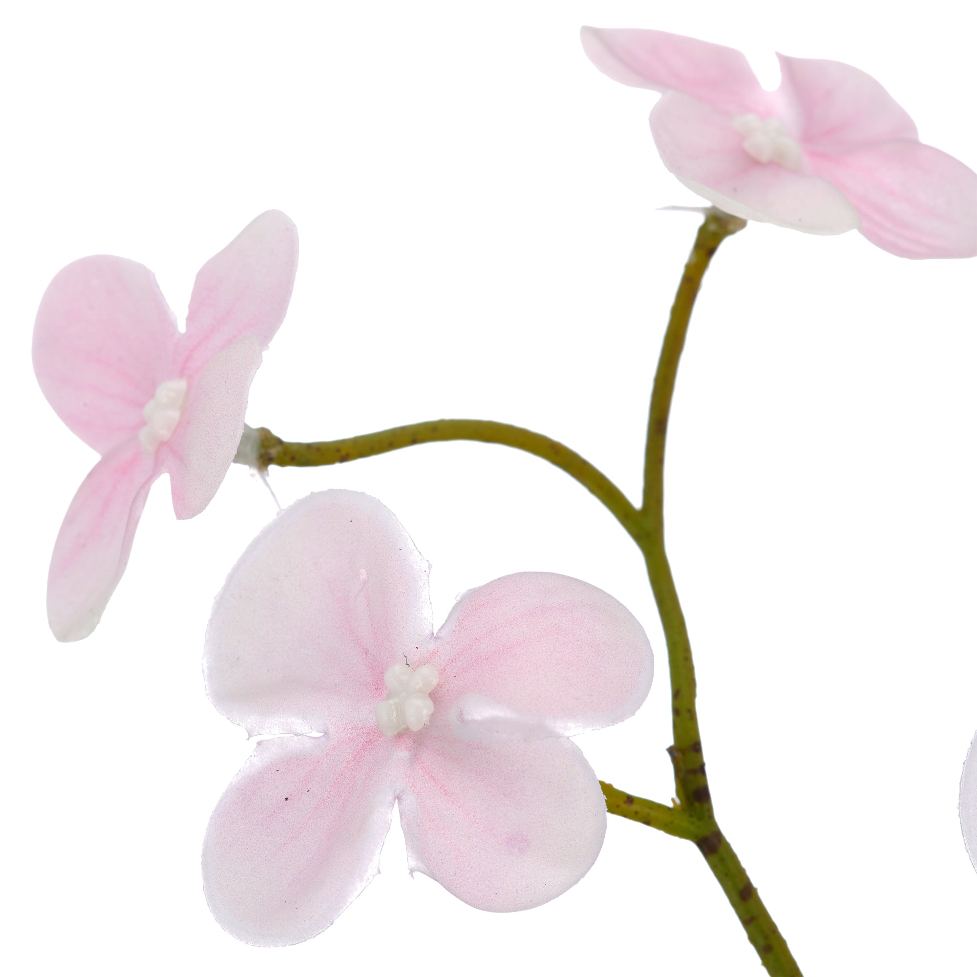 Nærbillede af kunstig cornus gren i lys rosa med små blomster