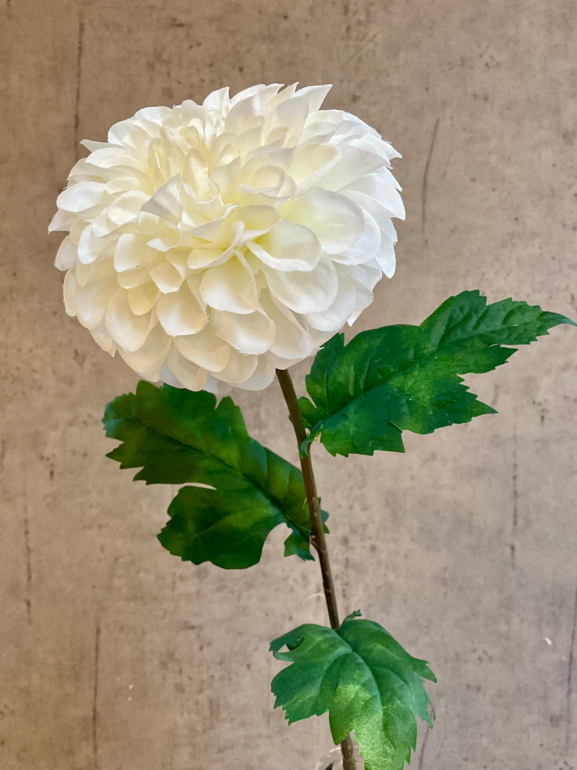 Nærbillede af kunstig hvid dahlia med fyldigt blomsterhoved