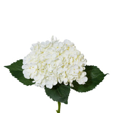 Kunstig hvid hortensia på 53 cm med grønne blade