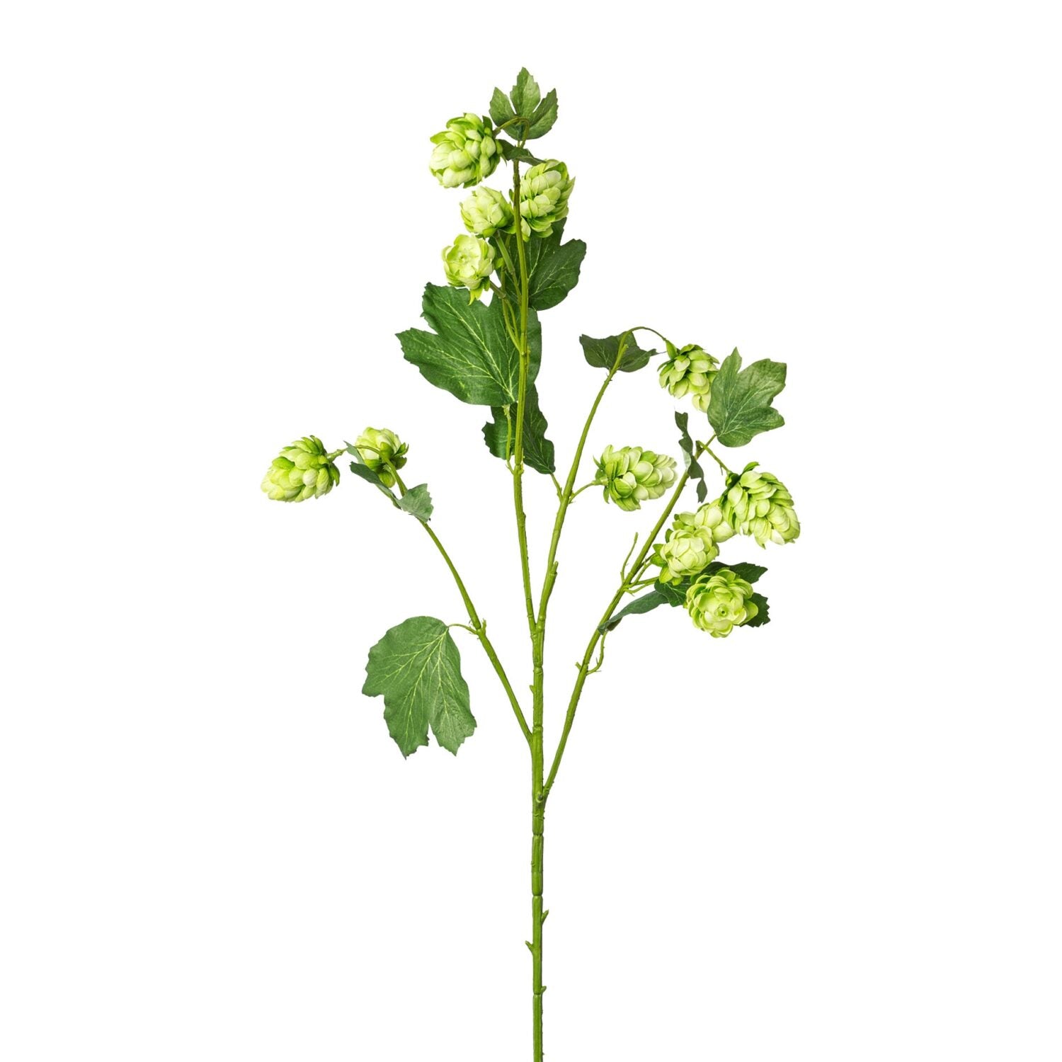 Kunstig humle gren i grøn på 77 cm med dekorative humlekopper