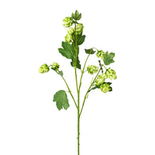 Kunstig humle gren i grøn på 77 cm med dekorative humlekopper