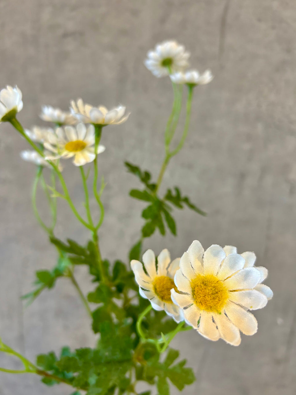 Nærbillede af kunstig hvid marguerit med gule blomstercentre