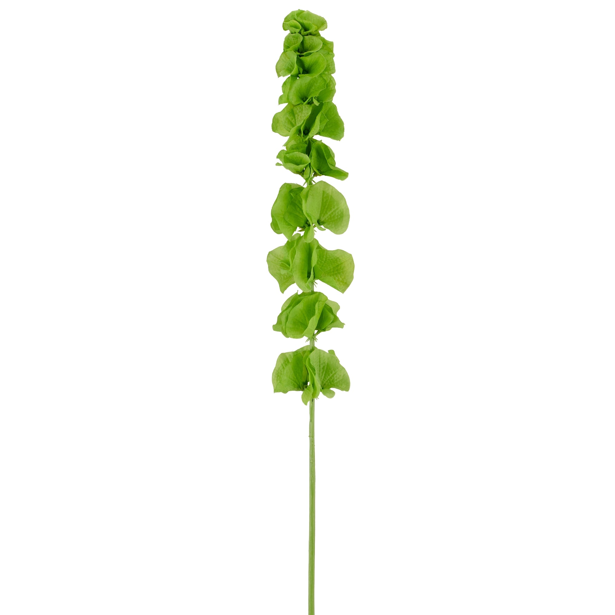 Kunstig grøn molucella på 78 cm med dekorative klokkeformede blomster
