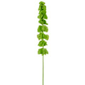 Kunstig grøn molucella på 78 cm med dekorative klokkeformede blomster