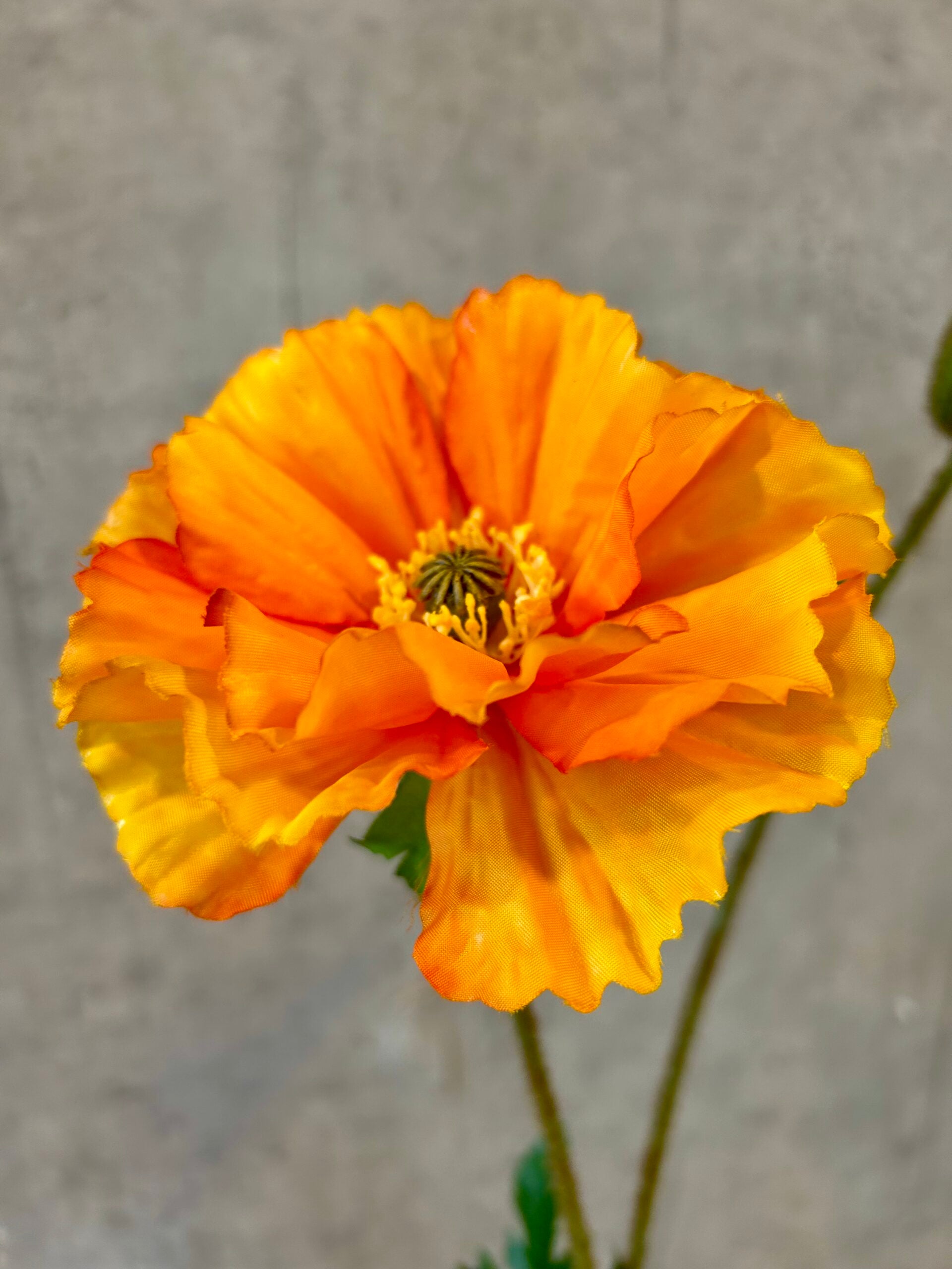 Nærbillede af kunstig orange valmue