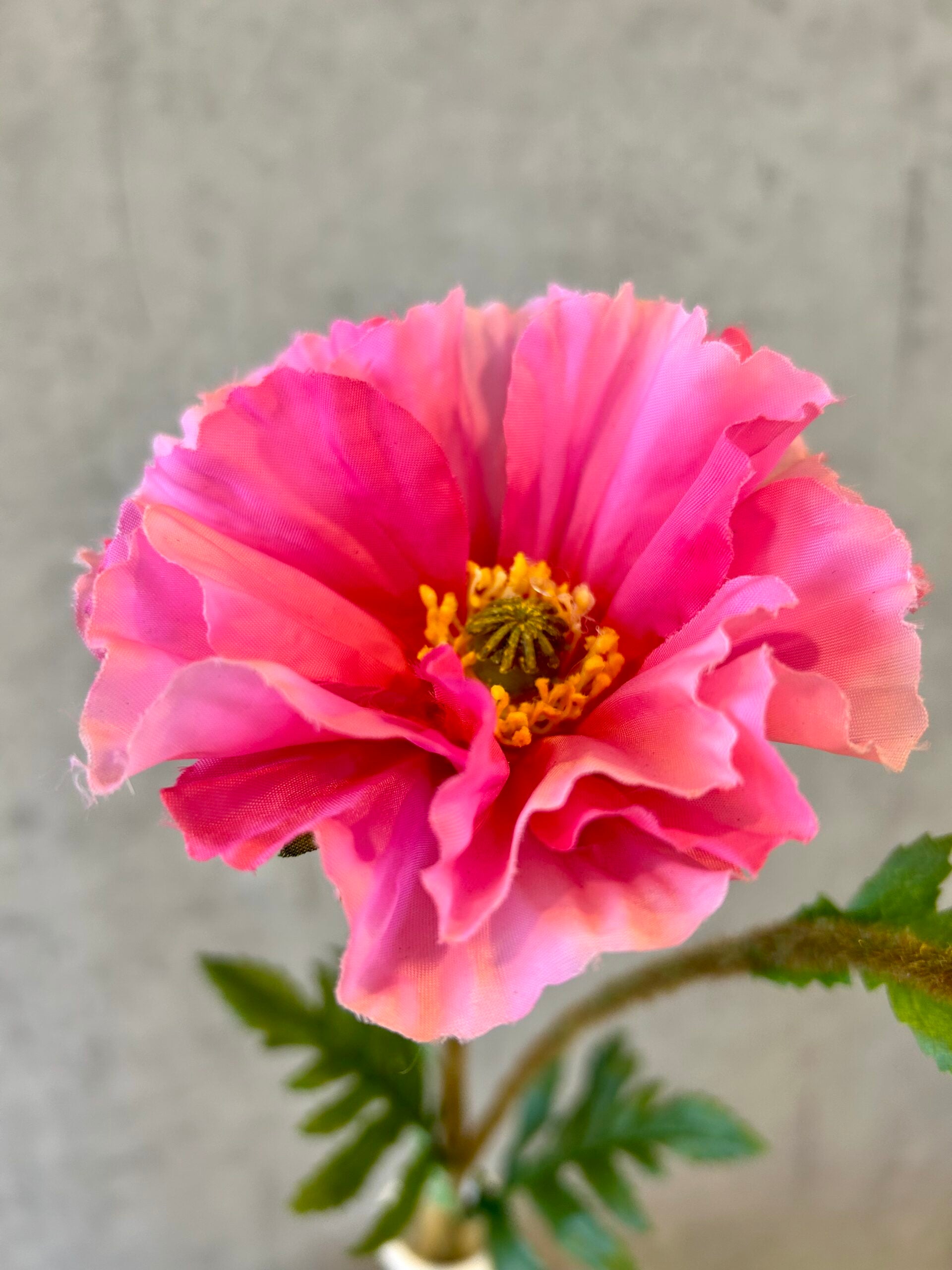 Nærbillede af kunstig pink valmue