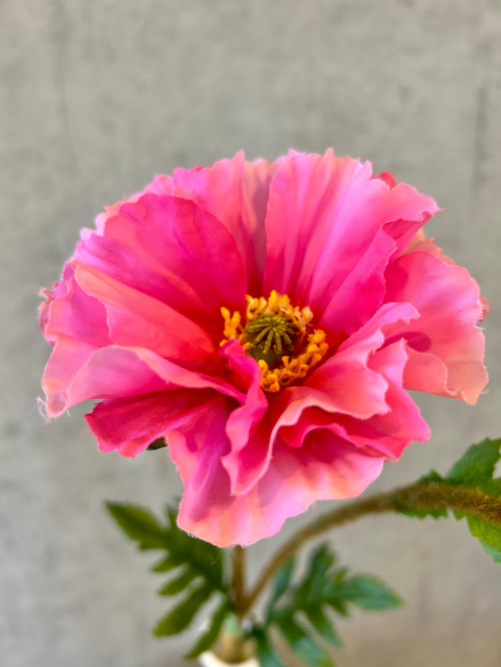 Nærbillede af kunstig pink valmue