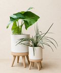 Lentra plantekrukke med ben i hvid og beige med grønne planter