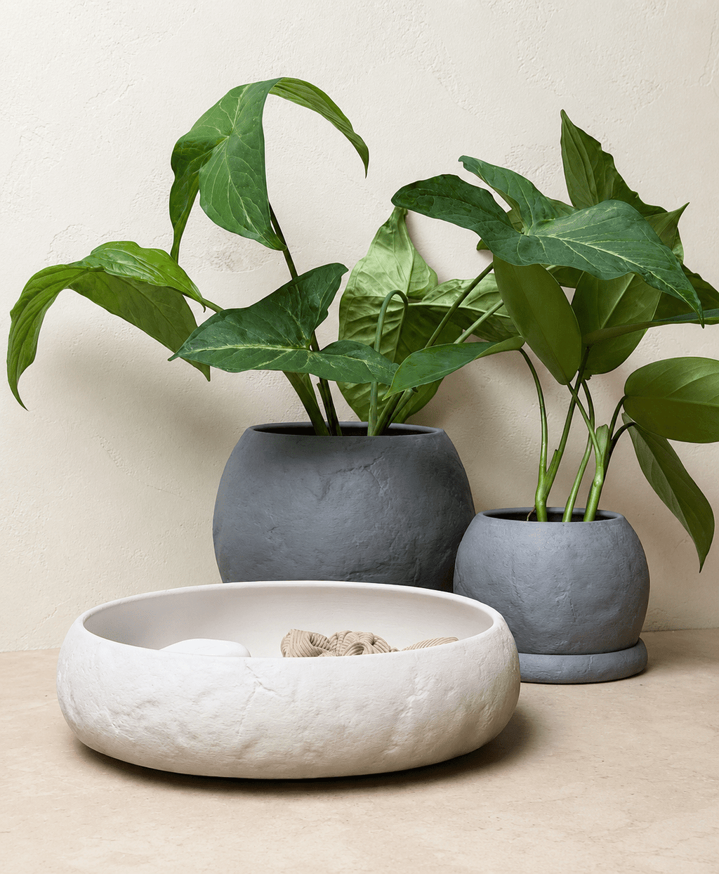 Morra urtepotte i grå betonlook med grøn plante og hvid underskål – minimalistisk plantepotte fra Homae