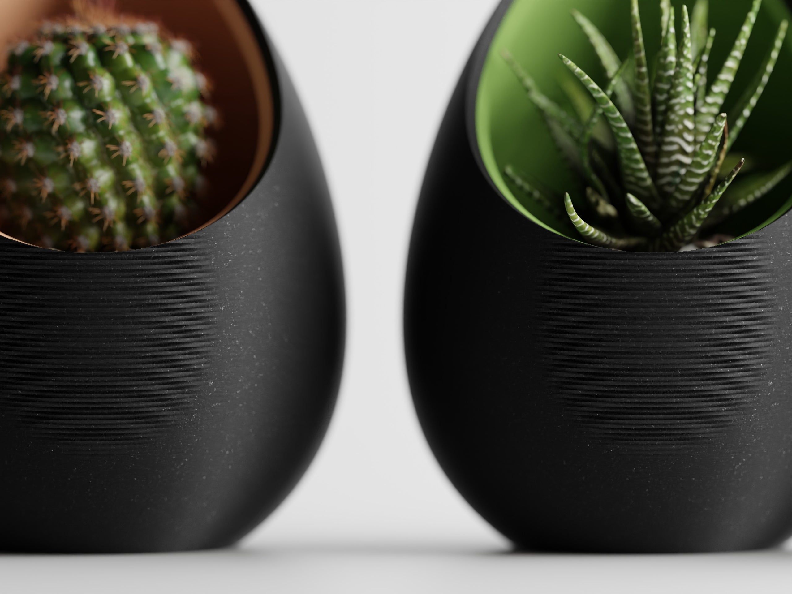To Nesta ægformede urtepotter med kaktus og aloe i nordisk indretning