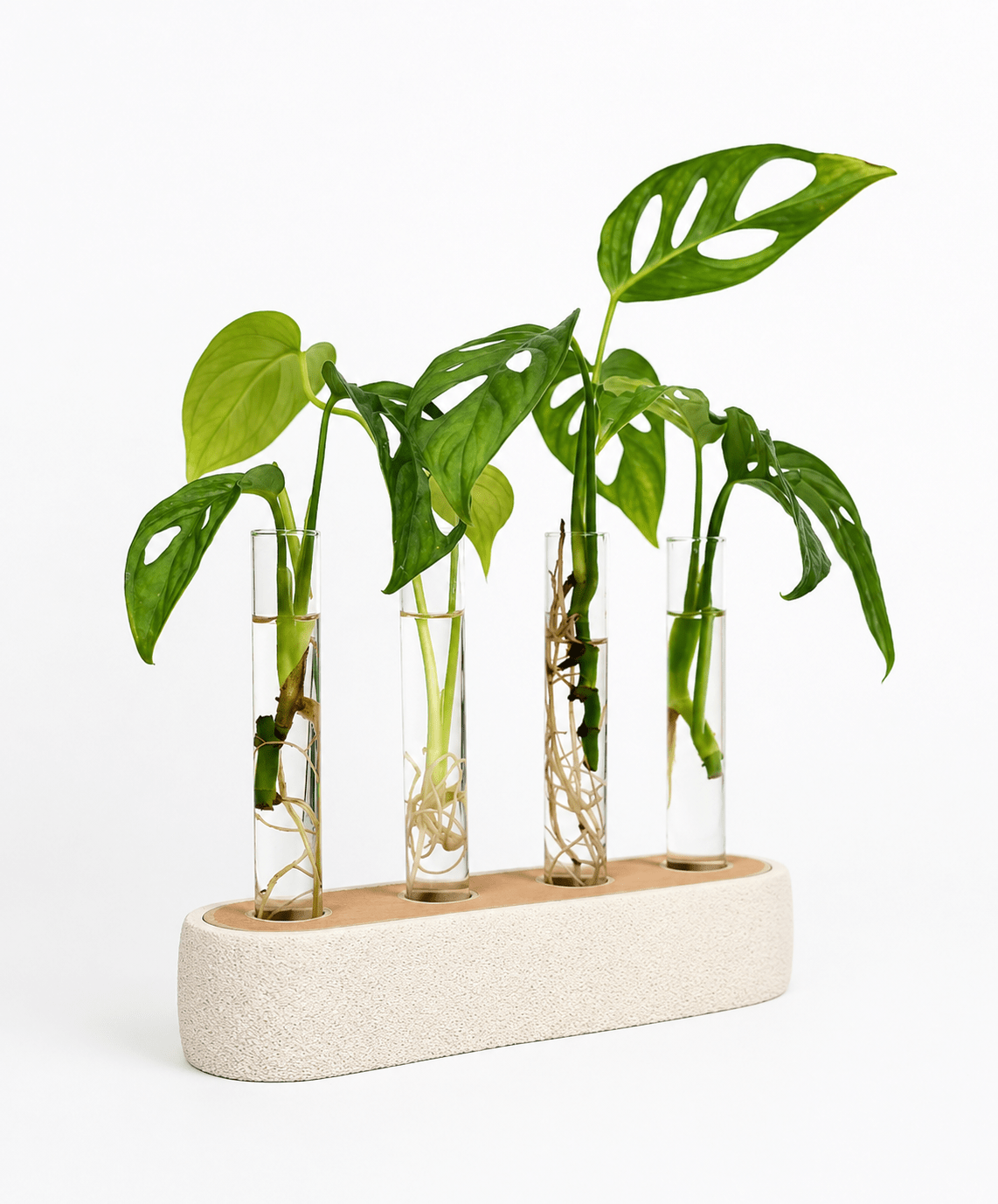 Quartis stiklingestation i ben hvid og latte brun PLA med fire glasrør og monstera stiklinger – plantestation fra Homae