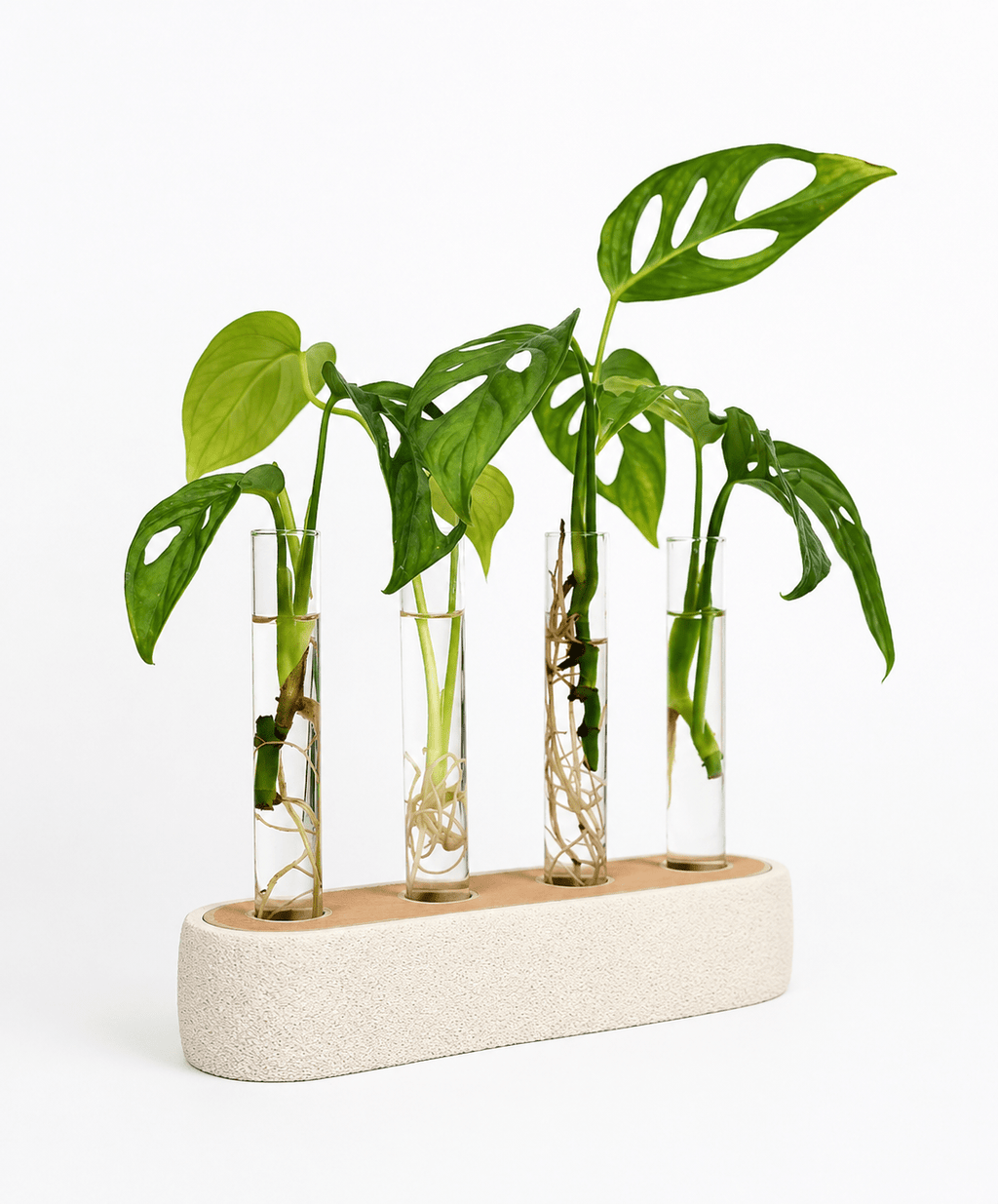 Quartis stiklingestation i ben hvid og latte brun PLA med fire glasrør og monstera stiklinger – plantestation fra Homae