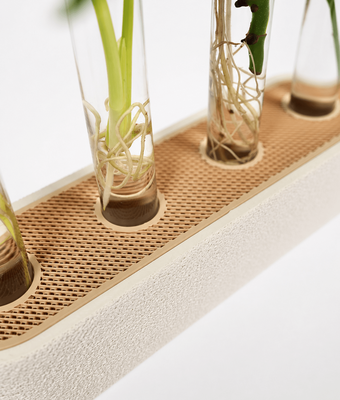 Quartis stiklingestation med monstera stiklinger og synlige rødder – nordisk plantestation fra Homae