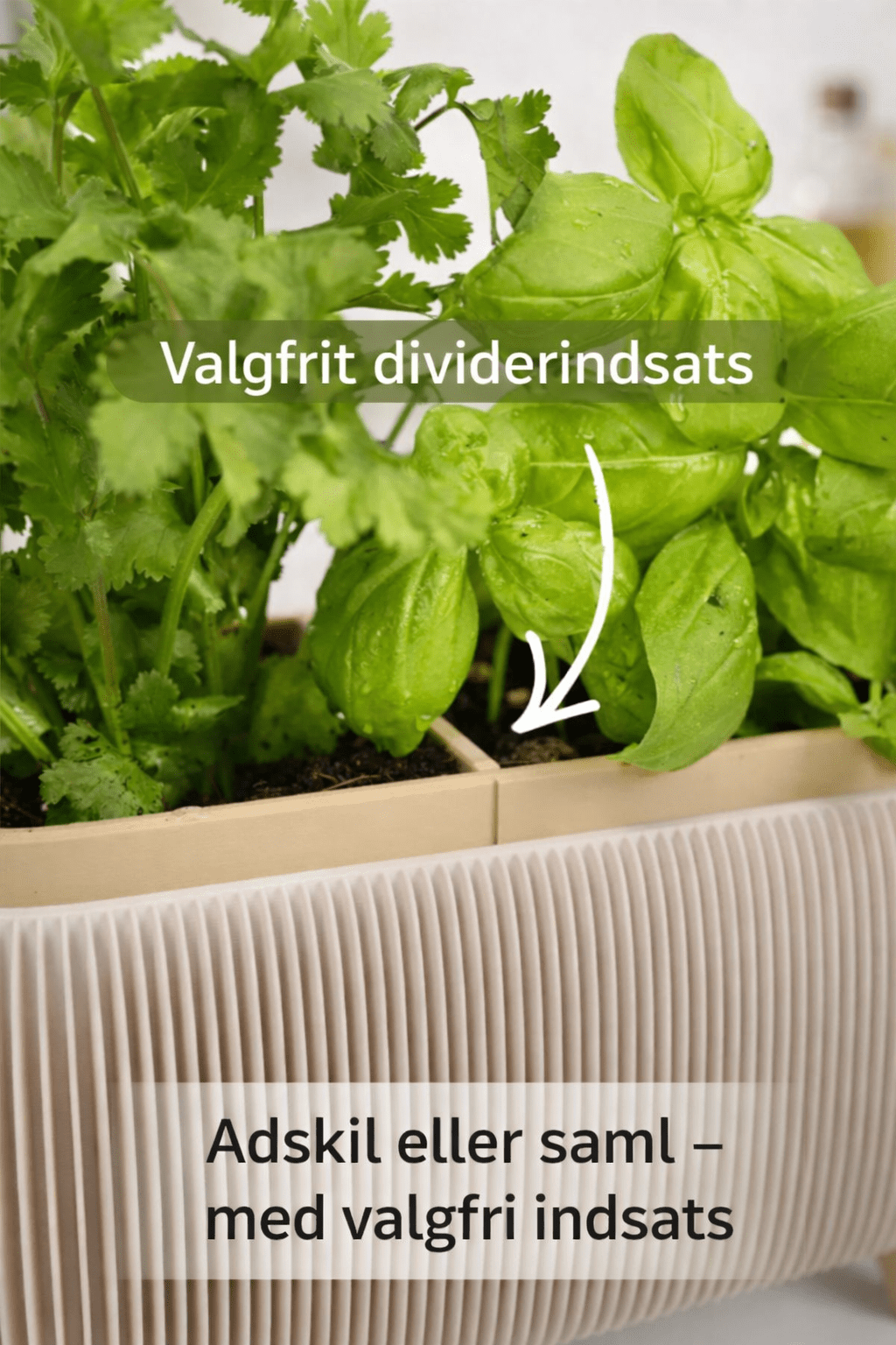 Thalor urtepotteskjuler med valgfrit dividerindsats og friske krydderurter – adskil eller saml urterne frit
